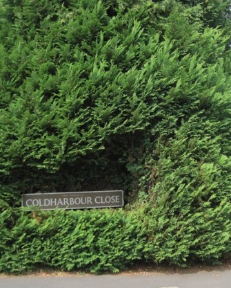 Coldharbour Close Henley