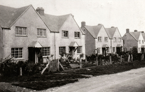 imd000262.jpg